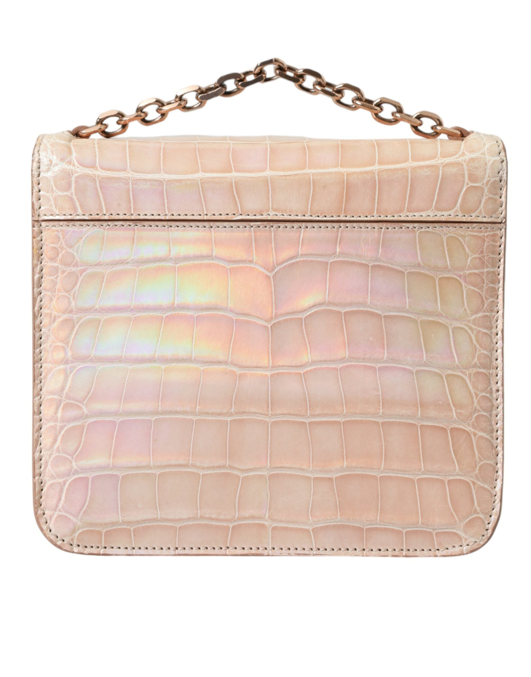 Beige blauwe agaat exotische leren gouden ketting portemonnee tas