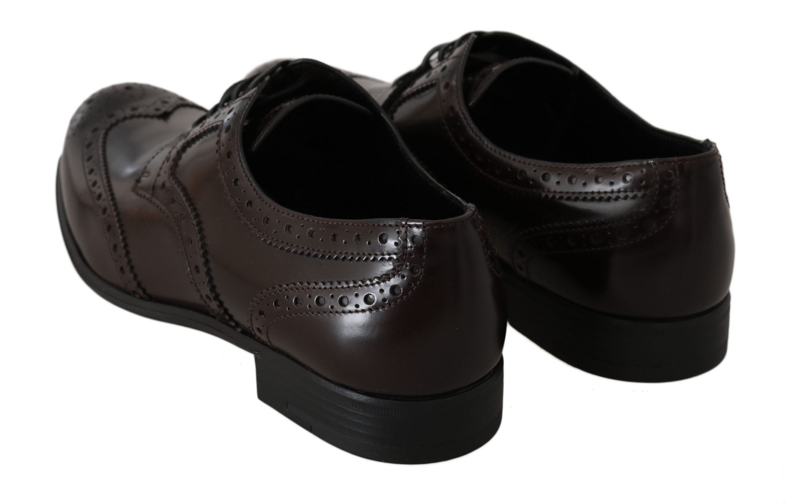 Bruine leren Broques Oxford Wingtip-schoenen