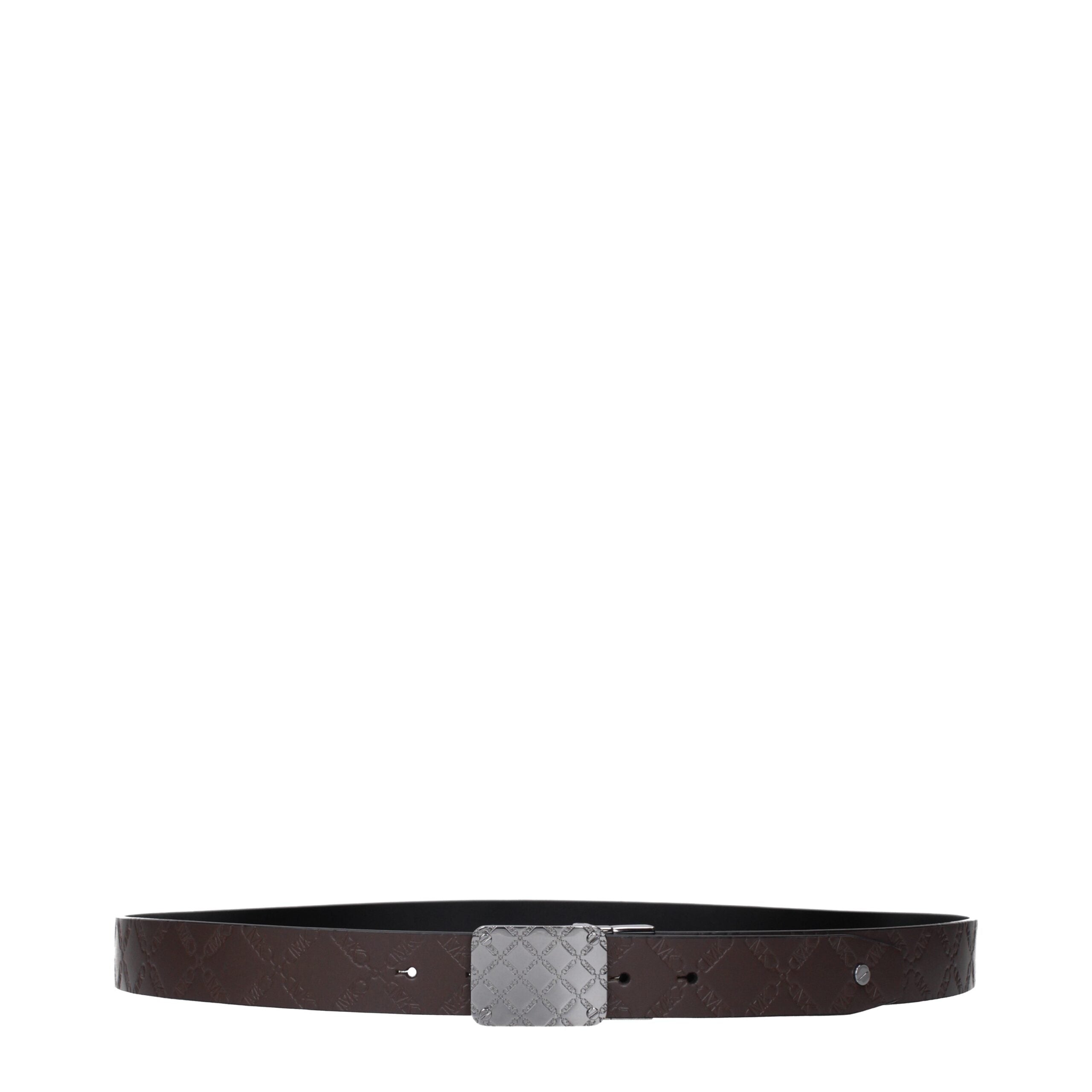 Brown Leather Regular Belt