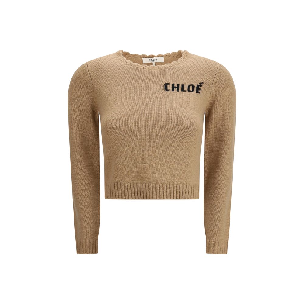 Brown Wool Sweatshirt